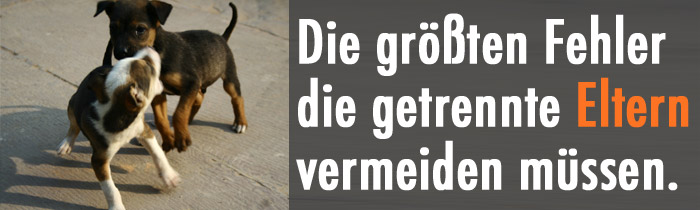 Die größten Fehler getrennter Eltern und wie man diese vermeidet