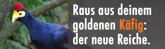 der neue Reiche